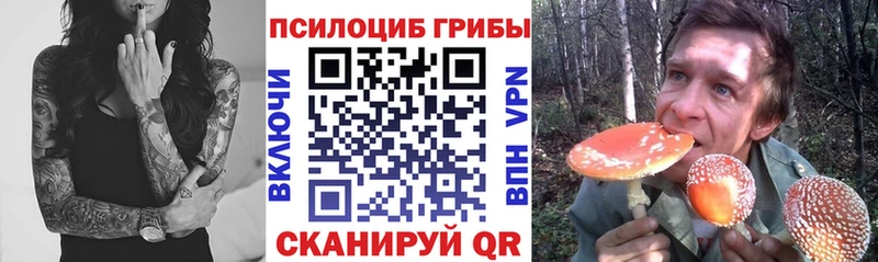 Галлюциногенные грибы прущие грибы  Старица 
